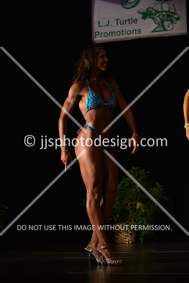 103115_FigOpen-221