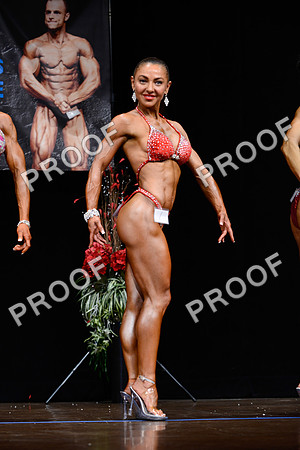 062213_Fig_Pro-74