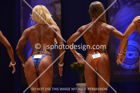 042316_Fig_Open_A-166