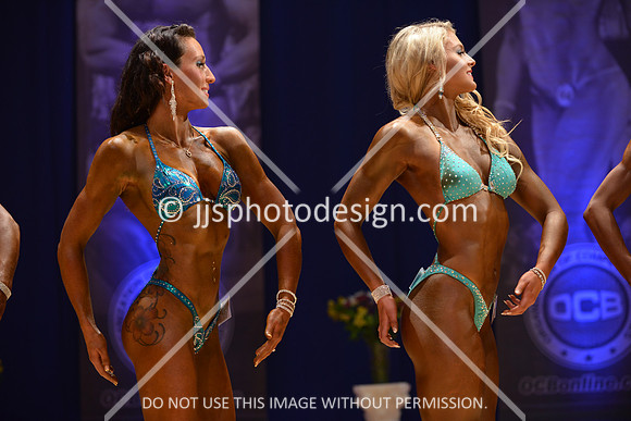 042316_Fig_Open_C-108