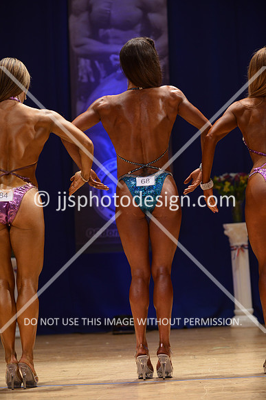 042316_Fig_Open_B-056