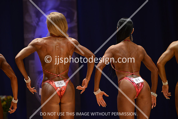 042316_Fig_Open_A-164