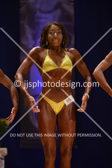 042316_Fig_Open_C-058