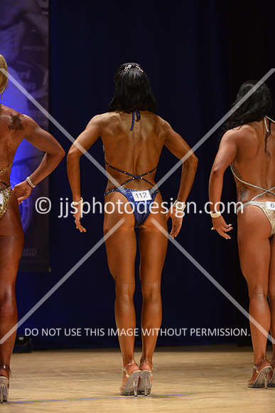 042316_Fig_Open_B-121