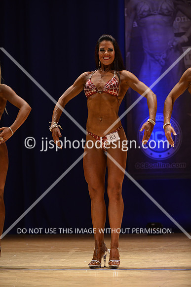 042316_Fig_Open_C-024