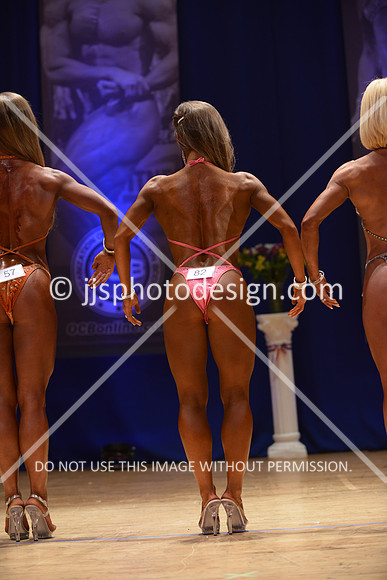 042316_Fig_Open_A-134