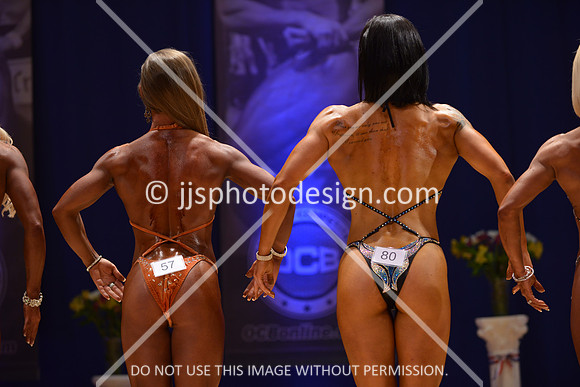 042316_Fig_Open_A-162