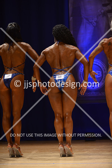 042316_Fig_Nov_B-066