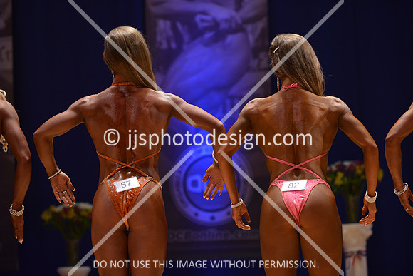 042316_Fig_Open_A-119