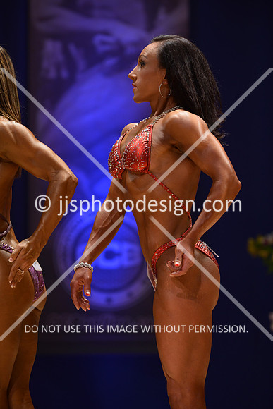 042316_Fig_Open_B-075