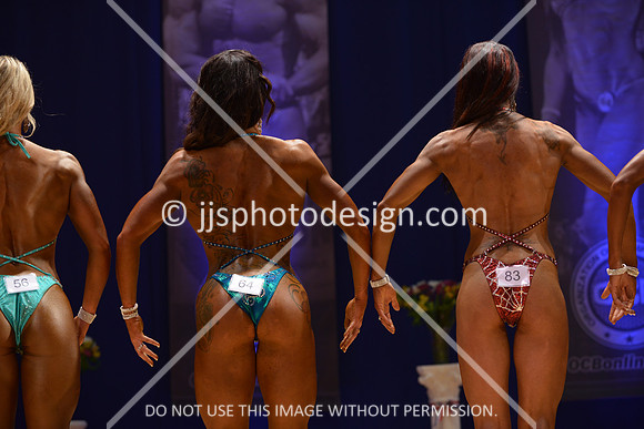 042316_Fig_Open_C-076