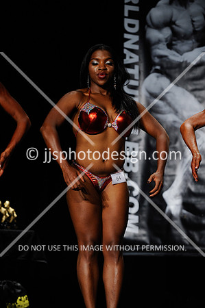 072316_Fig_Nov-048