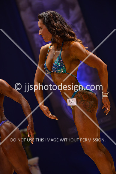 042316_Fig_Open_C-155