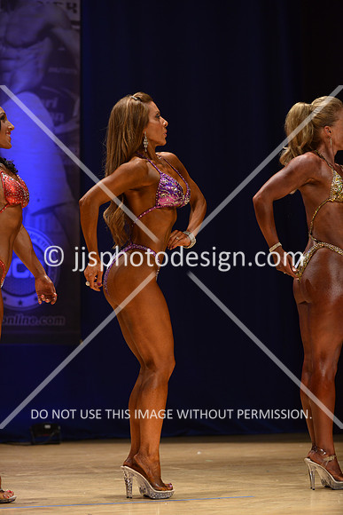 042316_Fig_Open_B-019
