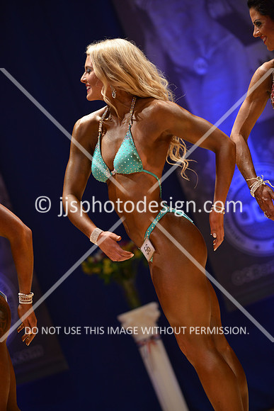 042316_Fig_Open_C-156