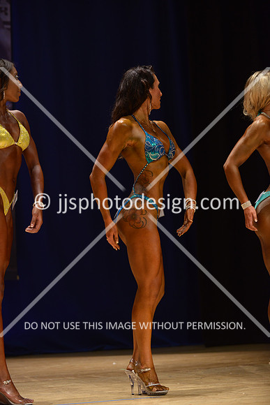 042316_Fig_Open_C-018