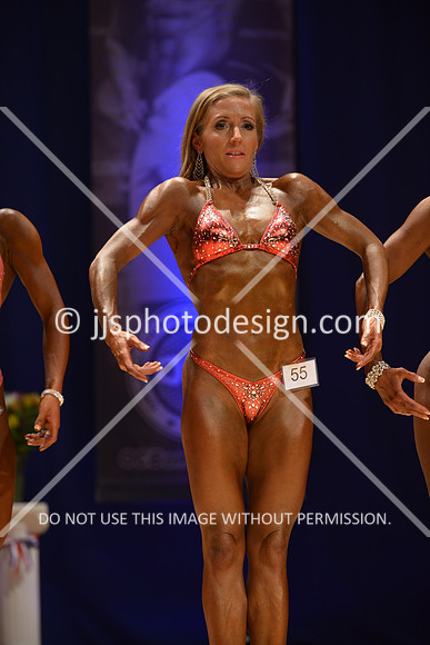 042316_Fig_Open_A-153