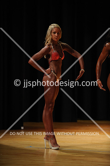 042217_Fig_Open_B-66