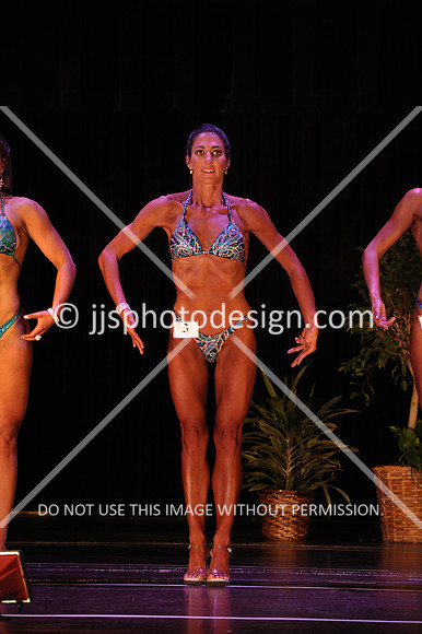 102817_FigNovice-013