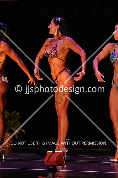 102817_FigNovice-020