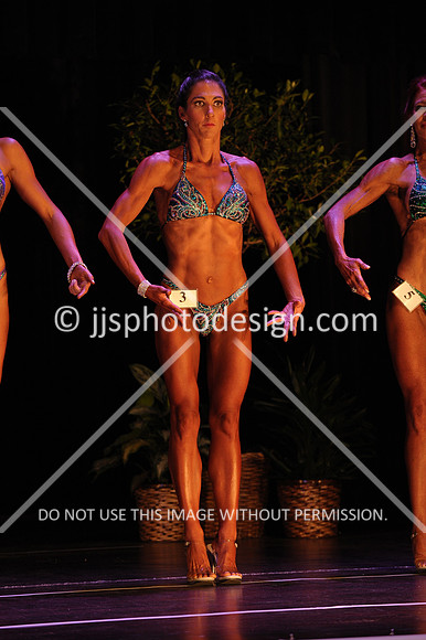 102817_FigNovice-106