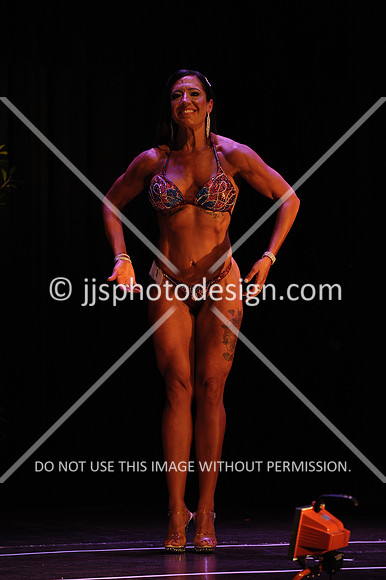 102817_FigNovice-114