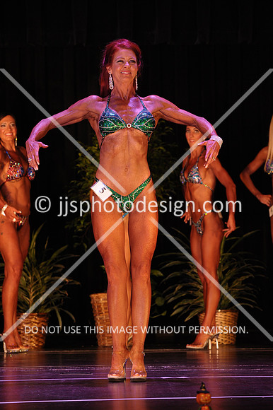 102817_FigNovice-136