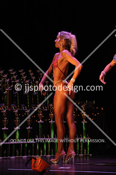 102817_FigOpen-022