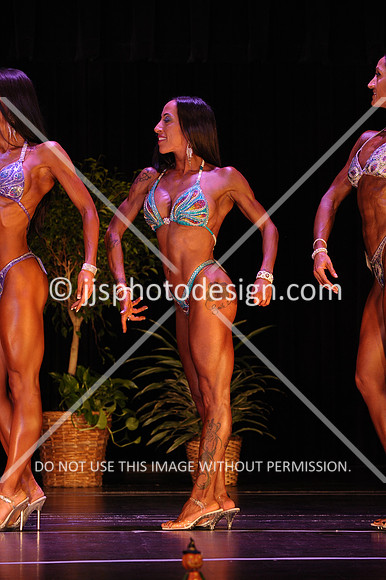 102817_FigOpen-027