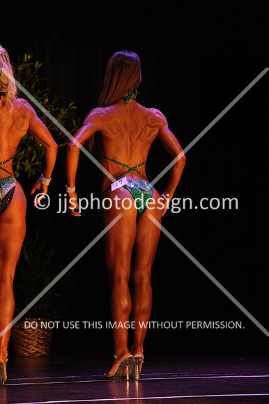 102817_FigOpen-031