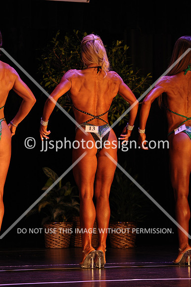 102817_FigOpen-032
