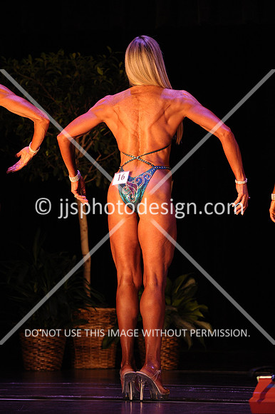 102817_FigOpen-038