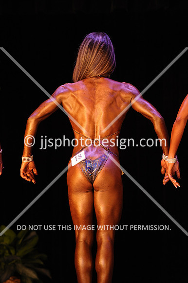 102817_FigOpen-084