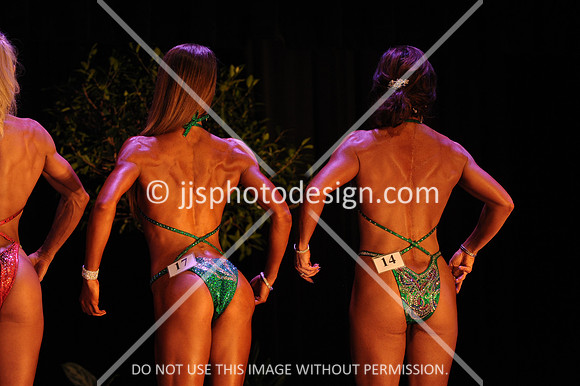 102817_FigOpen-121
