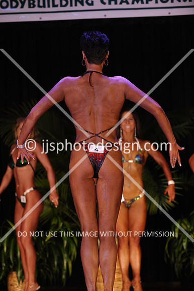 102916_FigNovTall-11