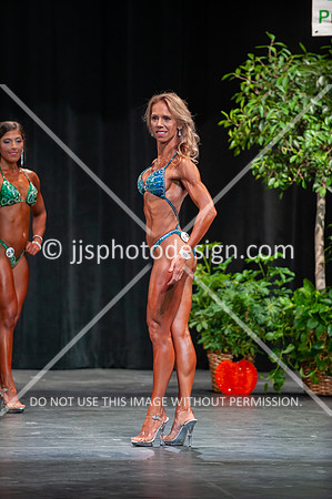 102718_Fig_Open-155
