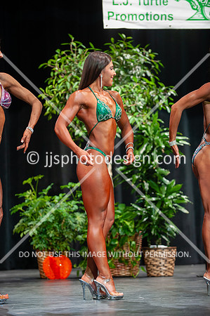 102718_Fig_Open-070