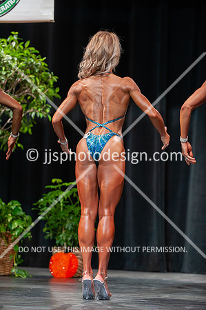102718_Fig_Open-017