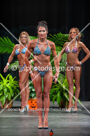 102718_Fig_Open-214