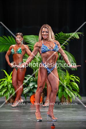 102718_Fig_Open-175