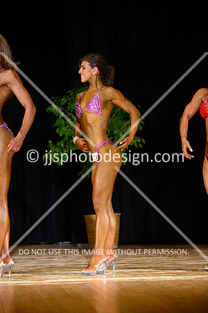 102613_Fig_Open-106