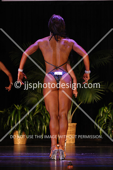 102916_FigNovTall-24