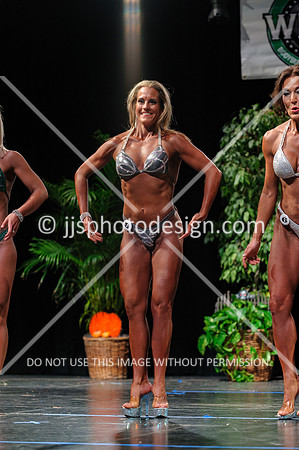 102719_Fig_Open-103