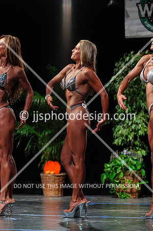 102719_Fig_Open-160