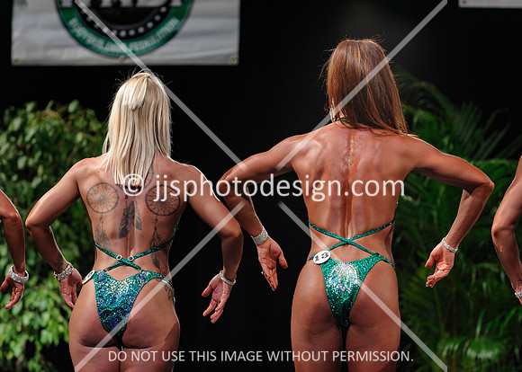 102719_Fig_Open-189