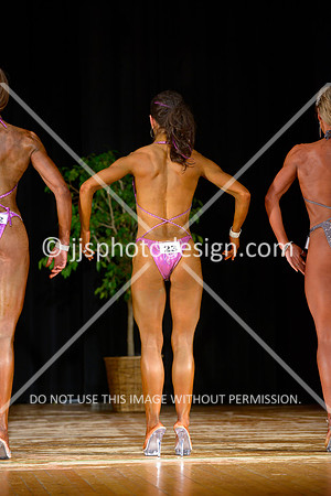 102613_Fig_Open-16
